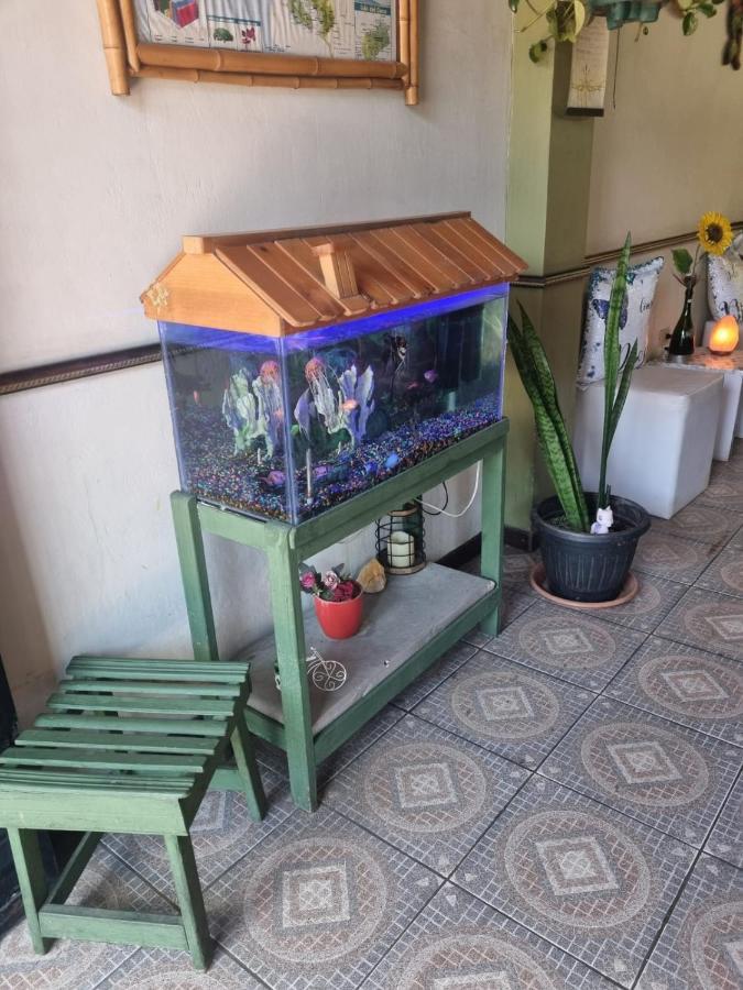 Hotel Paradise Alajuela Río Segundo Extérieur photo